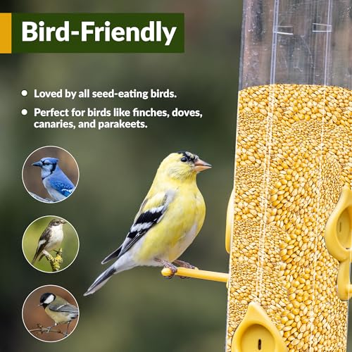 Wildlife White Millet for Bird Feeding and Wildlife Bird attracting (25 Count (Pack of 1))