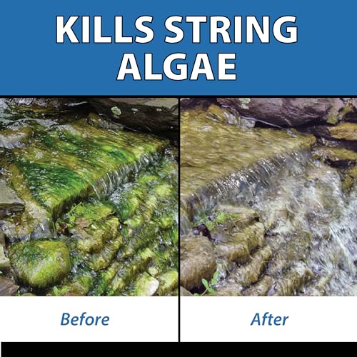 AlgaeOff String Algae Killer for Pond & Water Garden (8 Pounds)