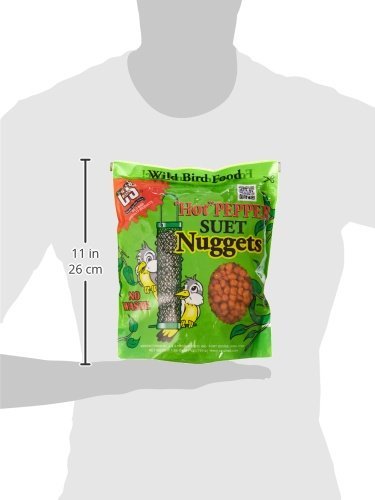Berry Flavor Suet Nuggets (1.69 Pound (Pack of 1))