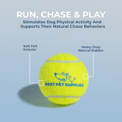 Interactive Squeaky Dog Chew Toy (Tennis (Yellow) / Medium)