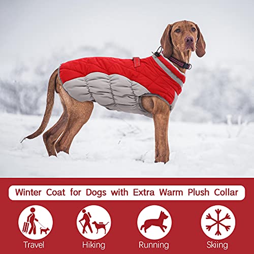 Dog Coat for Small Dogs (Red / S(chest:17in))