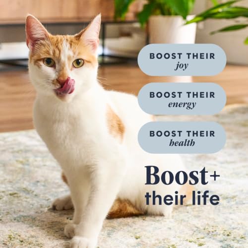 RawBoost Indoor Health (5 Pound (Pack of 1))