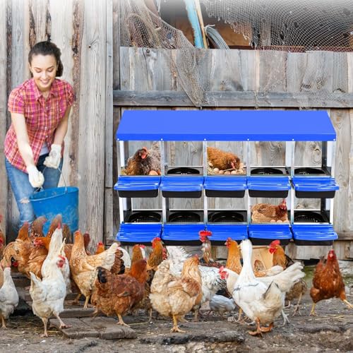Chicken Nesting Boxes (56.7"L x 16.5"W x 10.4"H / Blue)