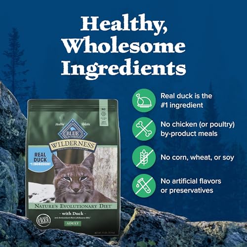 Wilderness Duck Adult Dry Cat Food (1 Count (Pack of 1))