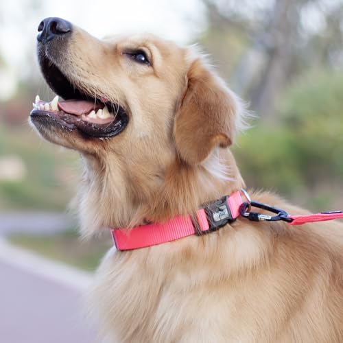 Pink Dog Collar for Large Dogs (Large / Candy Pink)