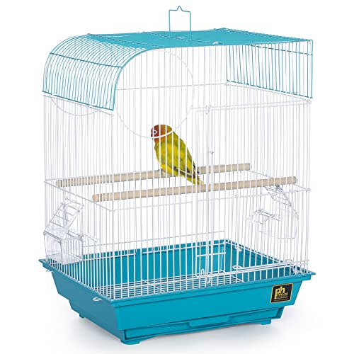 South Beach Flat Top Bird Cage Minimal Assembly (Teal / 10.6"L x 0.5"W x 18.0"H)