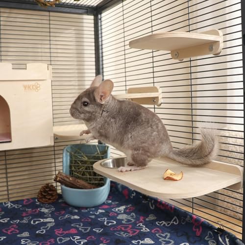 Natural Wood Chinchilla Platform Set with Feeding Bowl