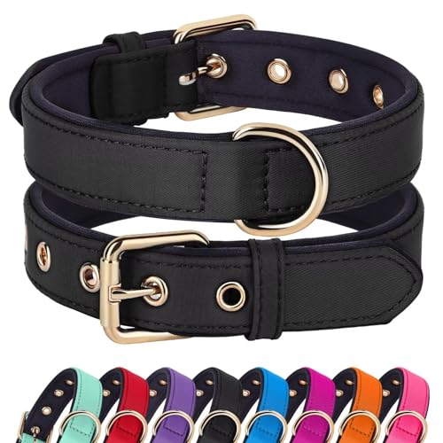 Soft Padded Dog Collars for Small Dogs (Black / S: Fit 9-12" Neck)