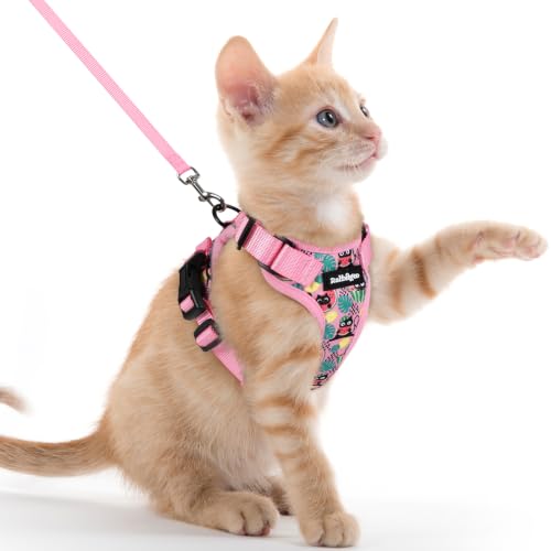 Cat Harness and Leash Set (Xxs / Melon Munch)