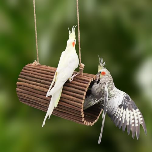 Parrot Swing Toys (Large / Hemp Rope Style)