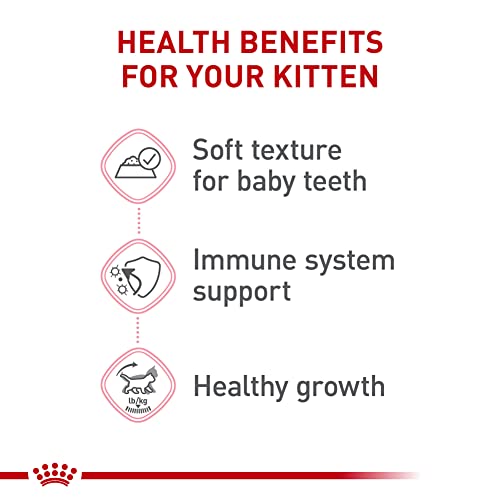 Feline Health Nutrition Kitten Thin Slices in Gravy Cat Food (3 Ounce (Pack of 24) / Thin Slices in Gravy)