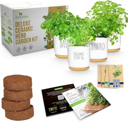 Indoor Herb Garden Kit (Ceramic Edition)