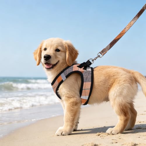 Dog Harness Collar and Leash Set No Pull for Small Medium Sized (Orange / S (CHEST 14.5"-16"))