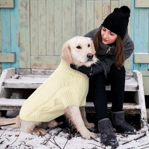 XL Dog Sweater (X-Large / White)