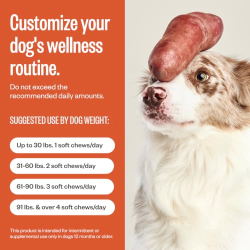 Zoomies Hip & Joint Supplement