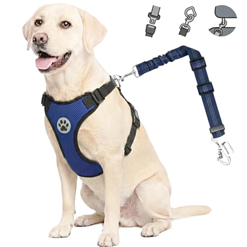 Dog Car Harness Seat Belt (XX-Small / Blue)