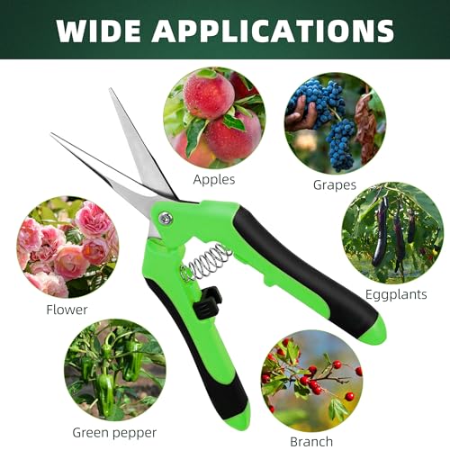 3 Pack Garden Pruning Shears Scissors Clippers (Multicolor)
