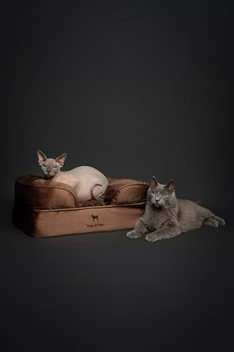 Cat Bed XS Dog Bed (Brown - VE / Small)