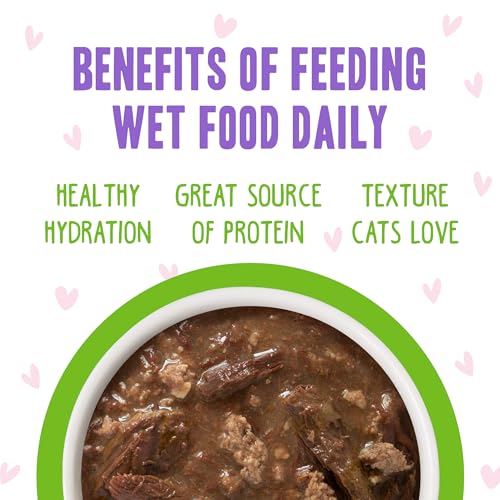 B.F.F. OMG Best Feline Friend Oh My Gravy! (3 Ounce (Pack of 12))