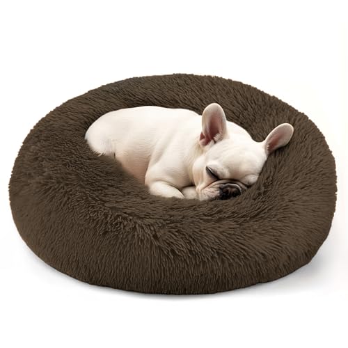 Dog & Cat Bed (Coffee / 20.0"L x 20.0"W x 8.0"Th)