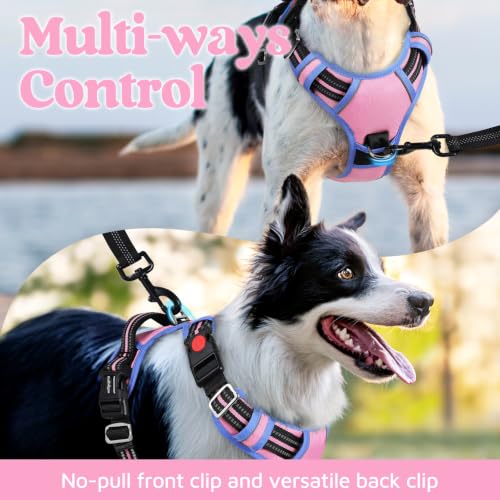 Dog Harness Small Sized (Light Pink & Blue / Small)