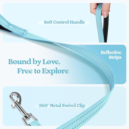 Dog Harness Medium Sized and Leash Set (Mint Blue / Xl (chest: 20 - 21.8"))