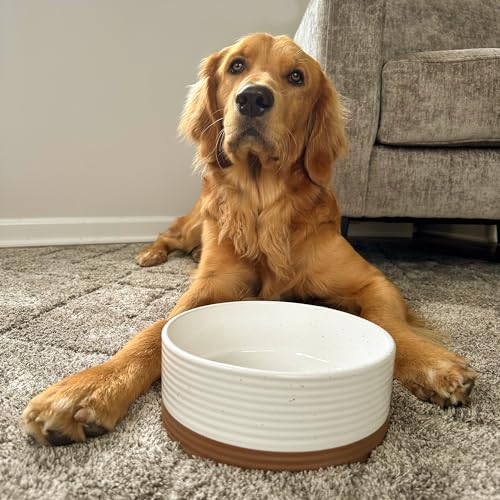 Ceramic Pet Bowl Size Medium (Medium / Vanilla White)