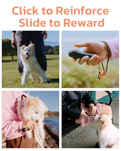2-in-1 Dog Clicker for Training with Treat Storage, Black