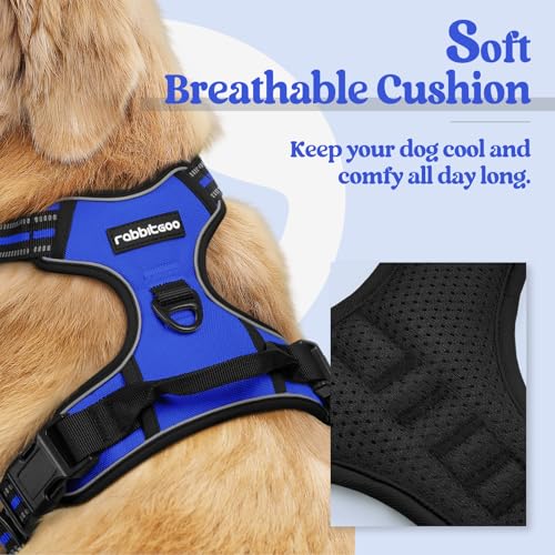 Dog Harness No Pull Medium Sized with 2 Leash Clips (Medium / Dazzling Blue)