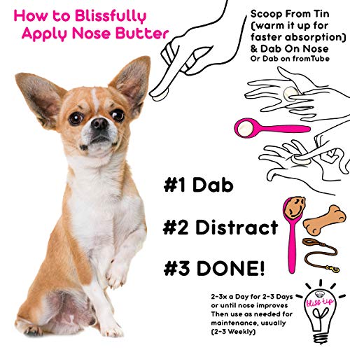 Short Coat Chihuahua Unscented Nose Butter (Chihuahua - Short Coat / 16 Ounce)