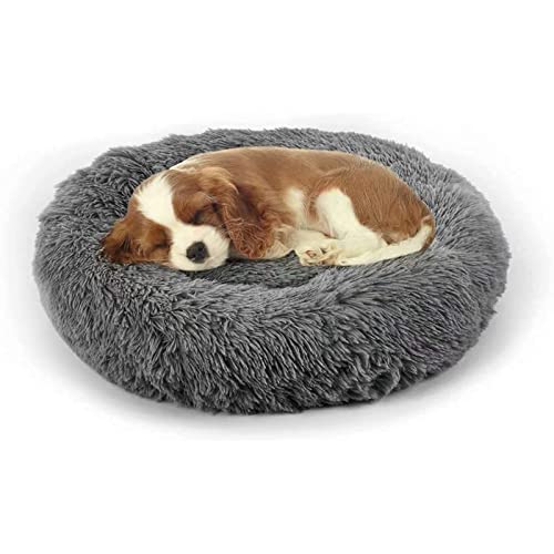 Dog Bed Cat Calming Bed