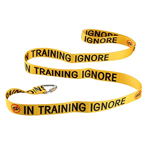 Funny Dog Leash for Training (In Training Ignore-YE)