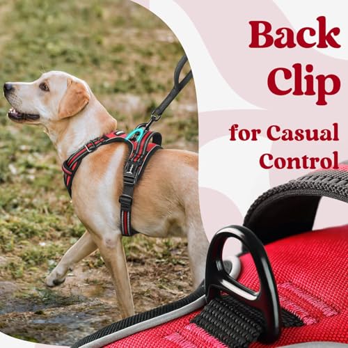 Dog Harness for Large (X-large / Red)
