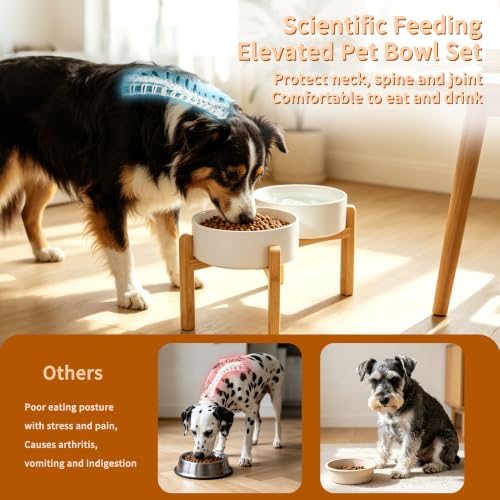Elevated Ceramic Dog Bowl Set (White / Large)