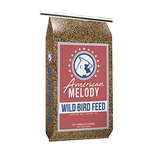 Wild Bird Feed