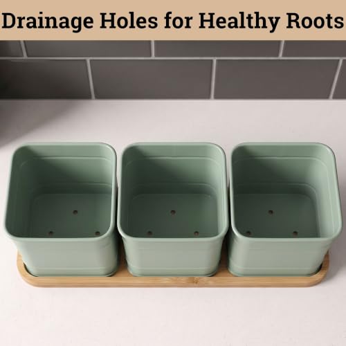 Herb Planter Indoor (Sage Green)