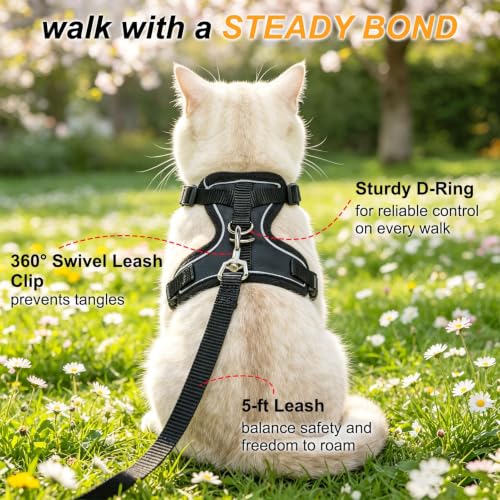 Cat Harness and Leash (Black Suit / Medium (Chest: 16 - 20"))