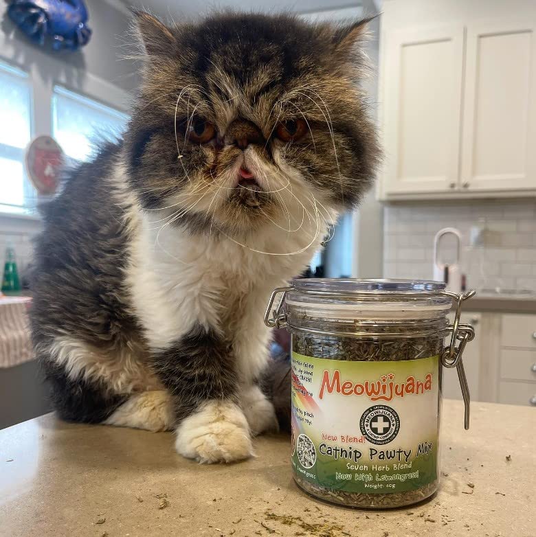 Catnibas Pawty Mix with Lemongrass