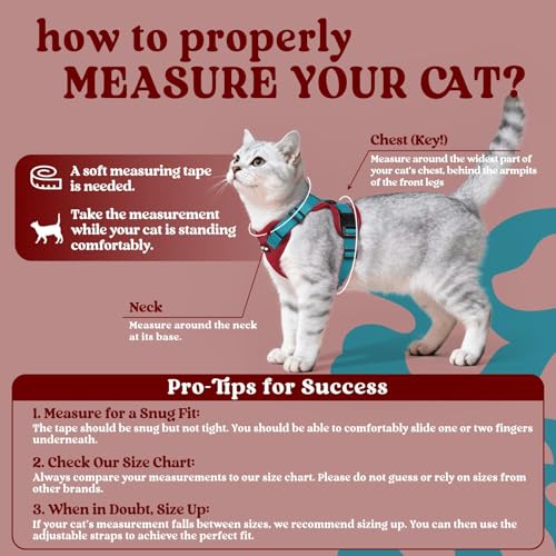 Cat Harness and Leash Set (Xs / Red & Teal)