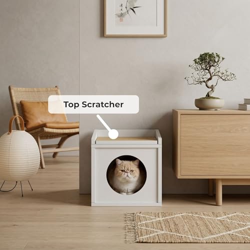 Meowdium Cat House for Indoor Cats (White)