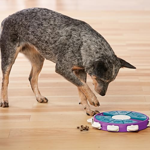Nina Ottosson Dog Twister Dog Toy Treat Puzzle
