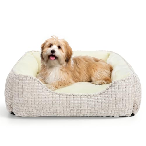 Rectangle Washable Orthopedic Dog Bed for Small (Ivory Beige / S(20’’x 19’’x 6’’))