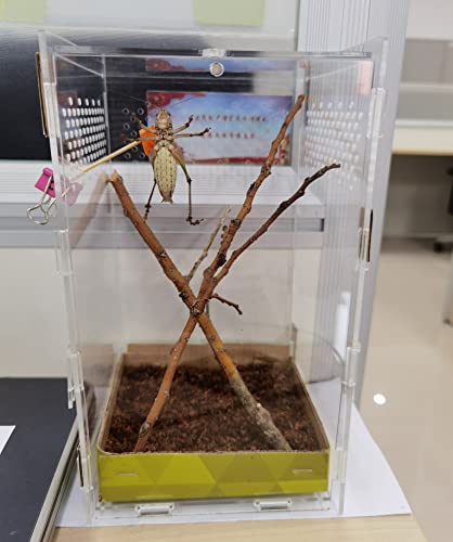 Magnetic Acrylic Case (4.7*4.7*7.8 inch)