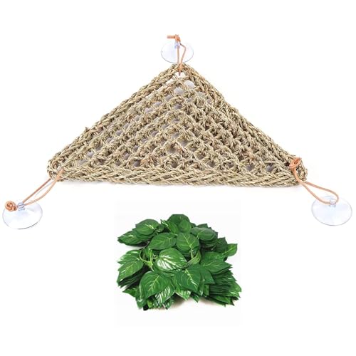 Bearded Dragon Hammock