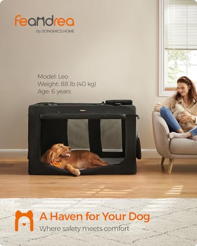 Collapsible Soft Dog Crate (XXXXL（48"L x 31"W x 31"H） / Black)