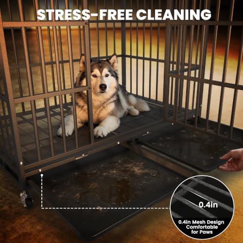 54 Inch Heavy Duty Dog Crate (Black / X-Large)