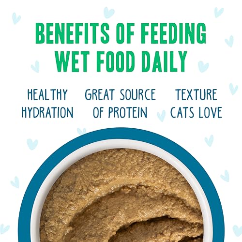 B.F.F. Play Best Feline Friend Paté Lovers (3 Ounce (Pack of 12))