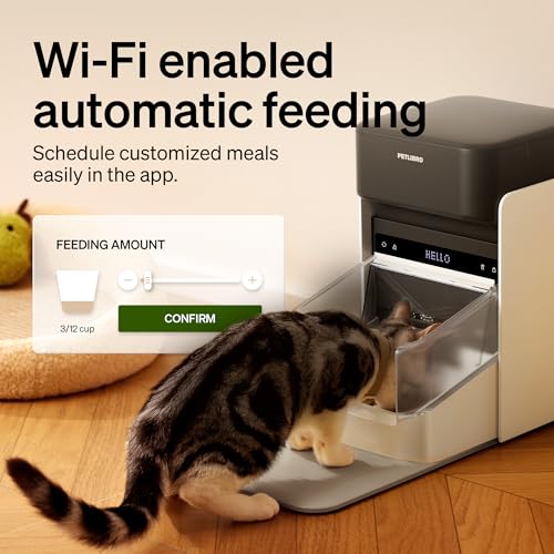 RFID Automatic Cat Feeder (White / 3L (Pack of 1))