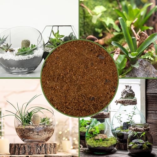 Terrarium Potting Soil Mix (8 Quarts)