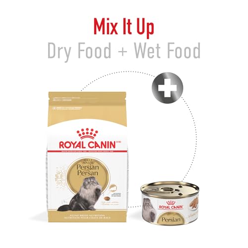 Feline Breed Nutrition Persian Adult Dry Cat Food